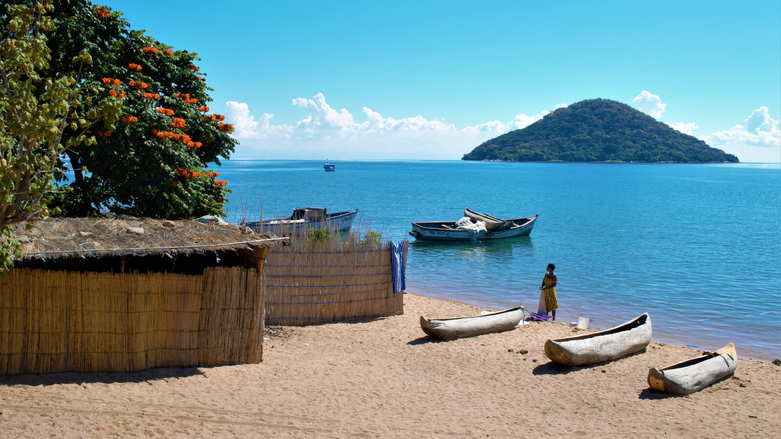 Image for Discovering the Wonders of Lake Malawi: An African Great Lake