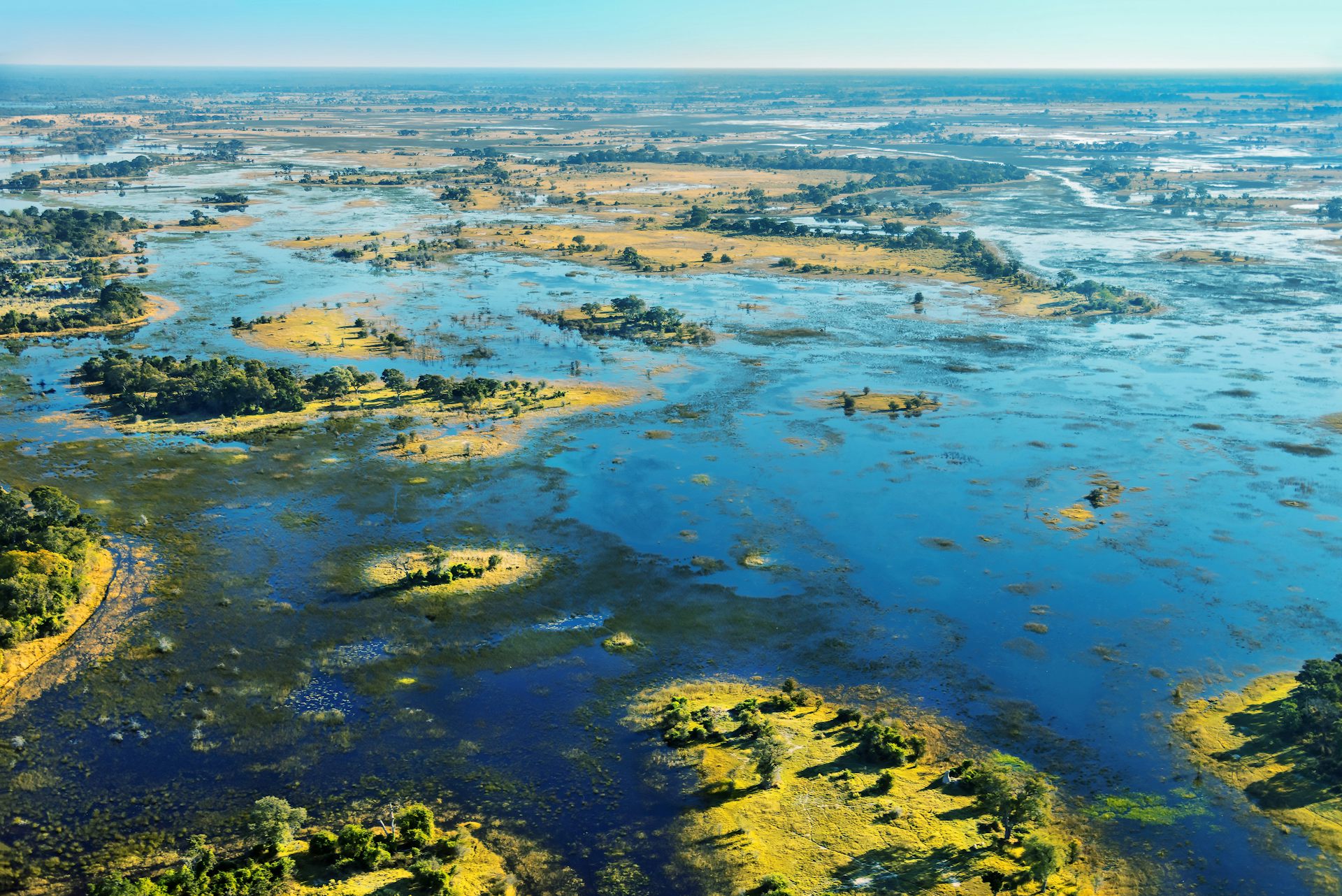 Image for Exploring the Okavango Delta: Africa's Inland Oasis