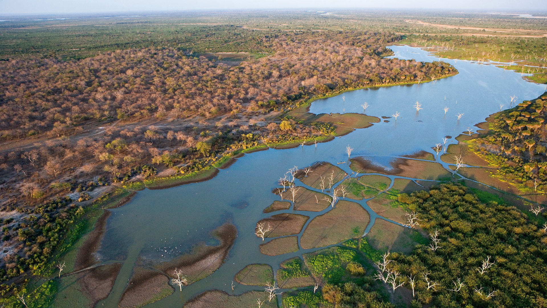 Image for Exploring the Okavango Delta: Africa's Inland Oasis