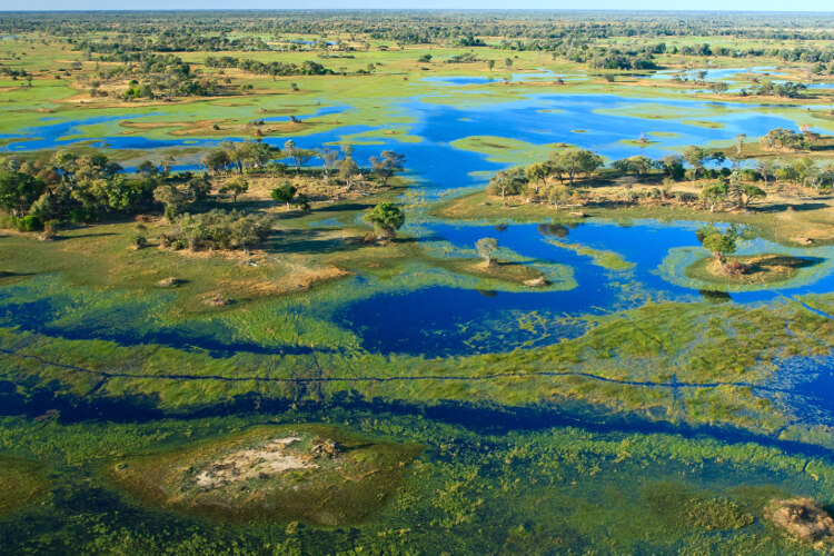 Image for Exploring the Okavango Delta: Africa's Inland Oasis