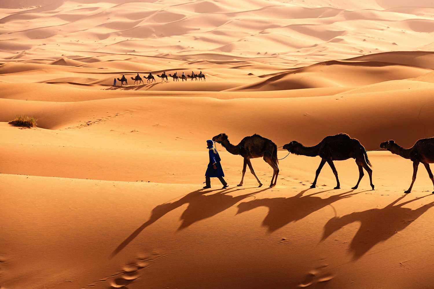 Image for The Sahara: A Hidden Gem in Africa