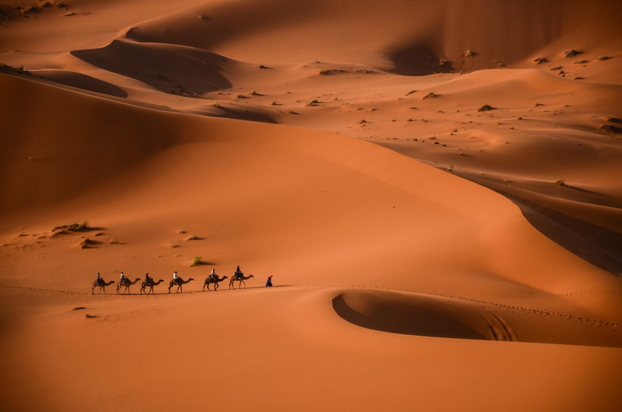 Image for The Sahara: A Hidden Gem in Africa