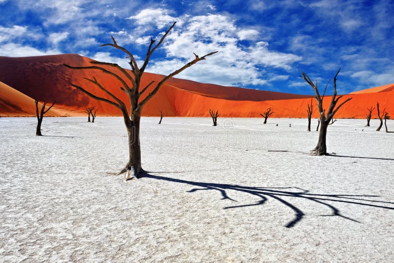 Image for Exploring the Marvels of Sossusvlei in the Namib Desert