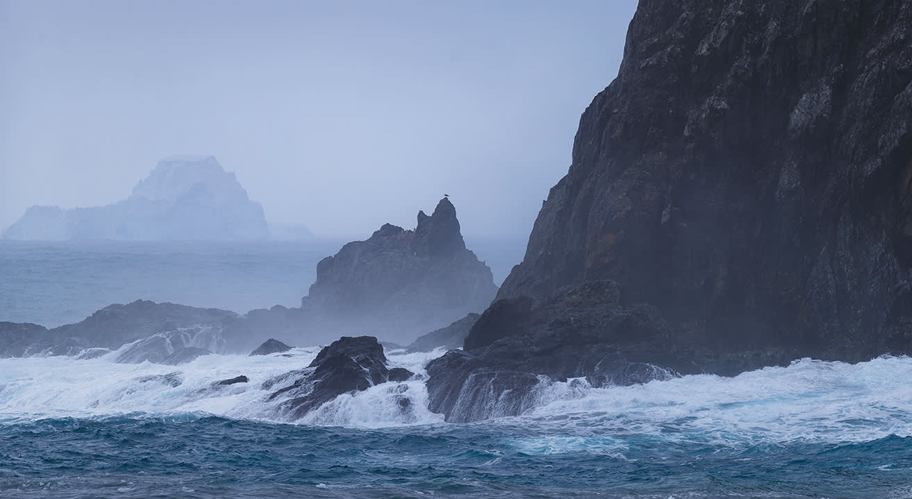 Image for Elephant Island: The Untold Story of Survival