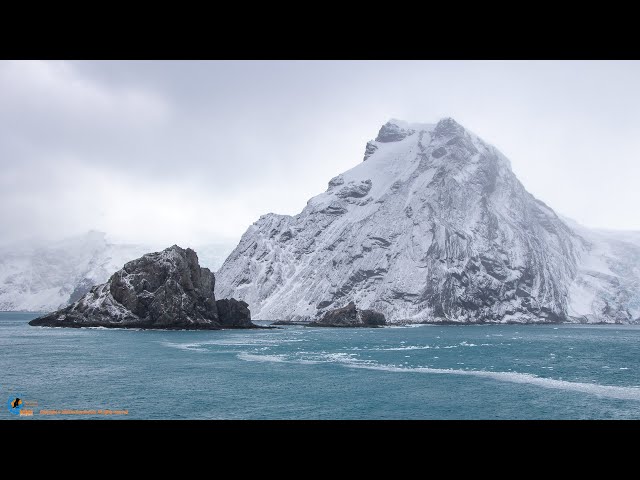 Image for Elephant Island: The Untold Story of Survival