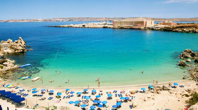 Image for Exploring the Icy Wonder of Paradise Bay, Antarctica