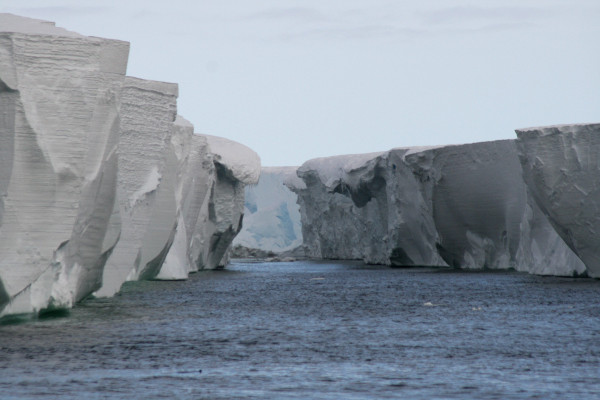 Image for Exploring the Mysteries of the Ross Ice Shelf in Antarctica