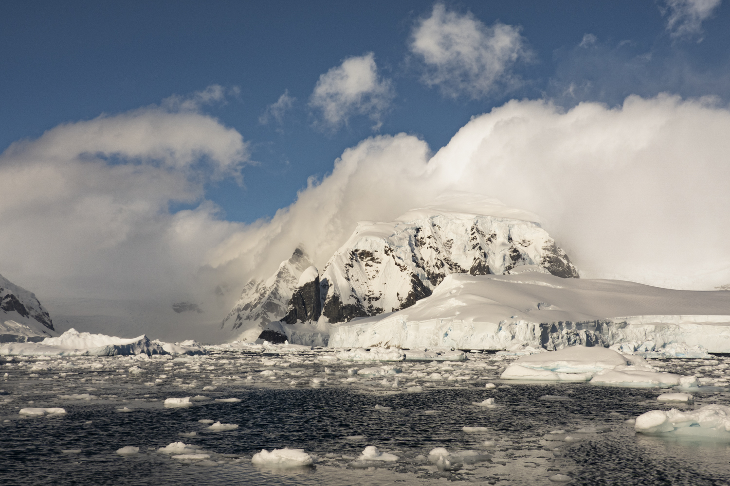 Image for Exploring the Wonders of Wilhelmina Bay on the Antarctic Peninsula