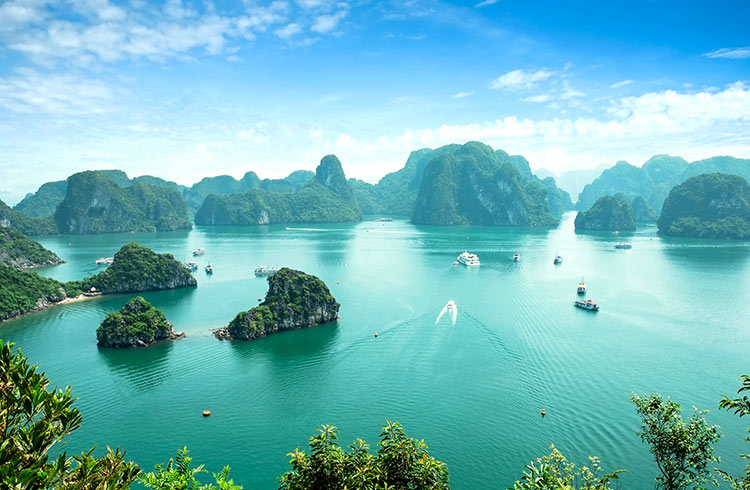 Image for Discovering the Mystical Beauty of Hạ Long Bay, Vietnam