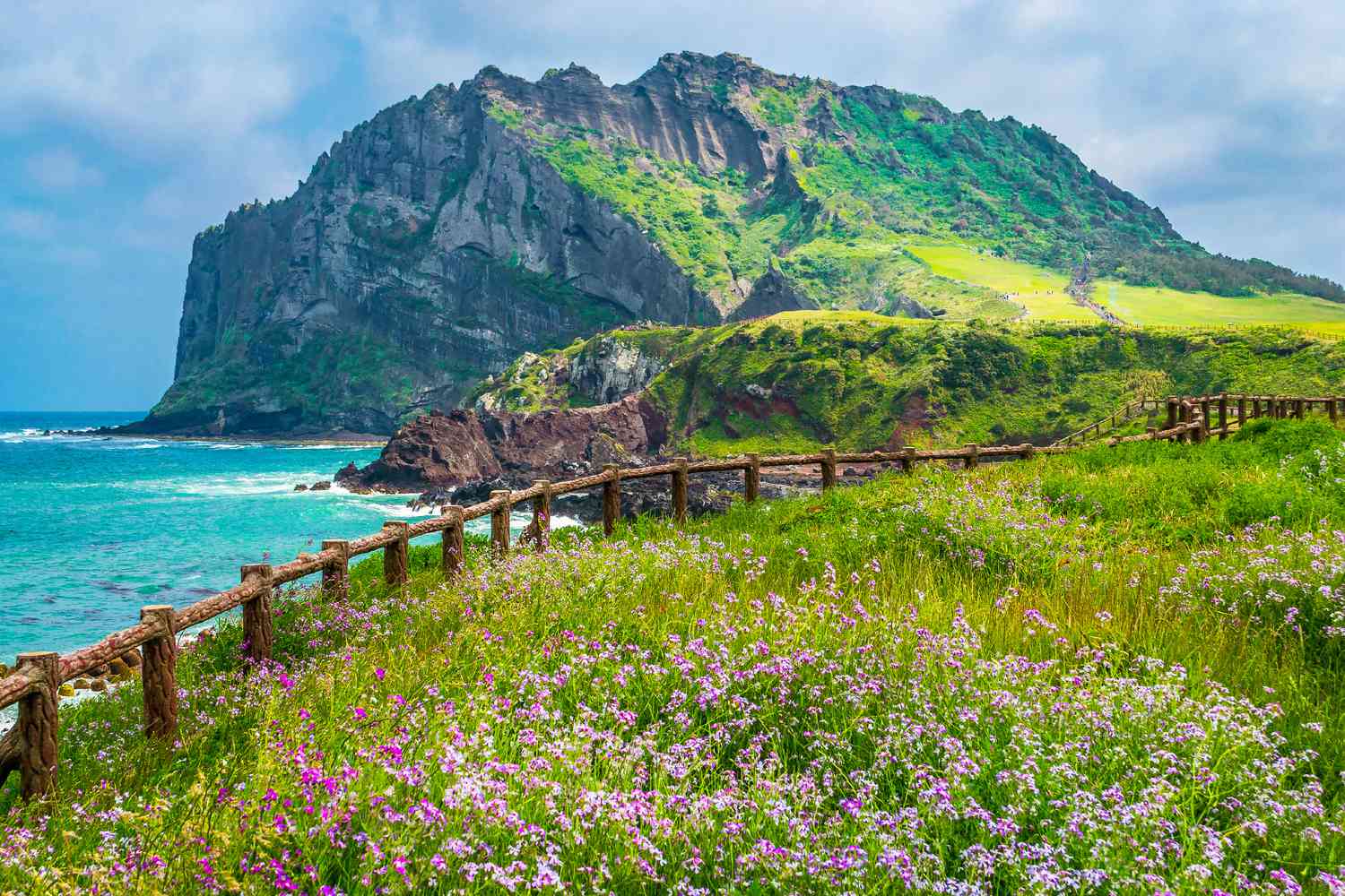 Image for Jeju Island: A Tropical Paradise in South Korea