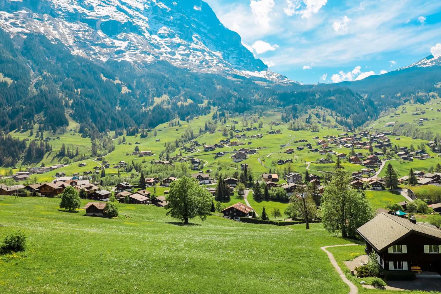 Image for Exploring the Majestic Swiss Alps