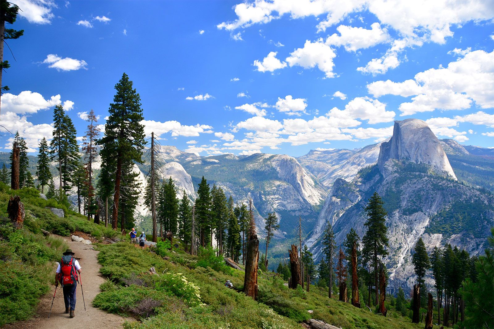 Image for exploring the wonders of yosemite national park