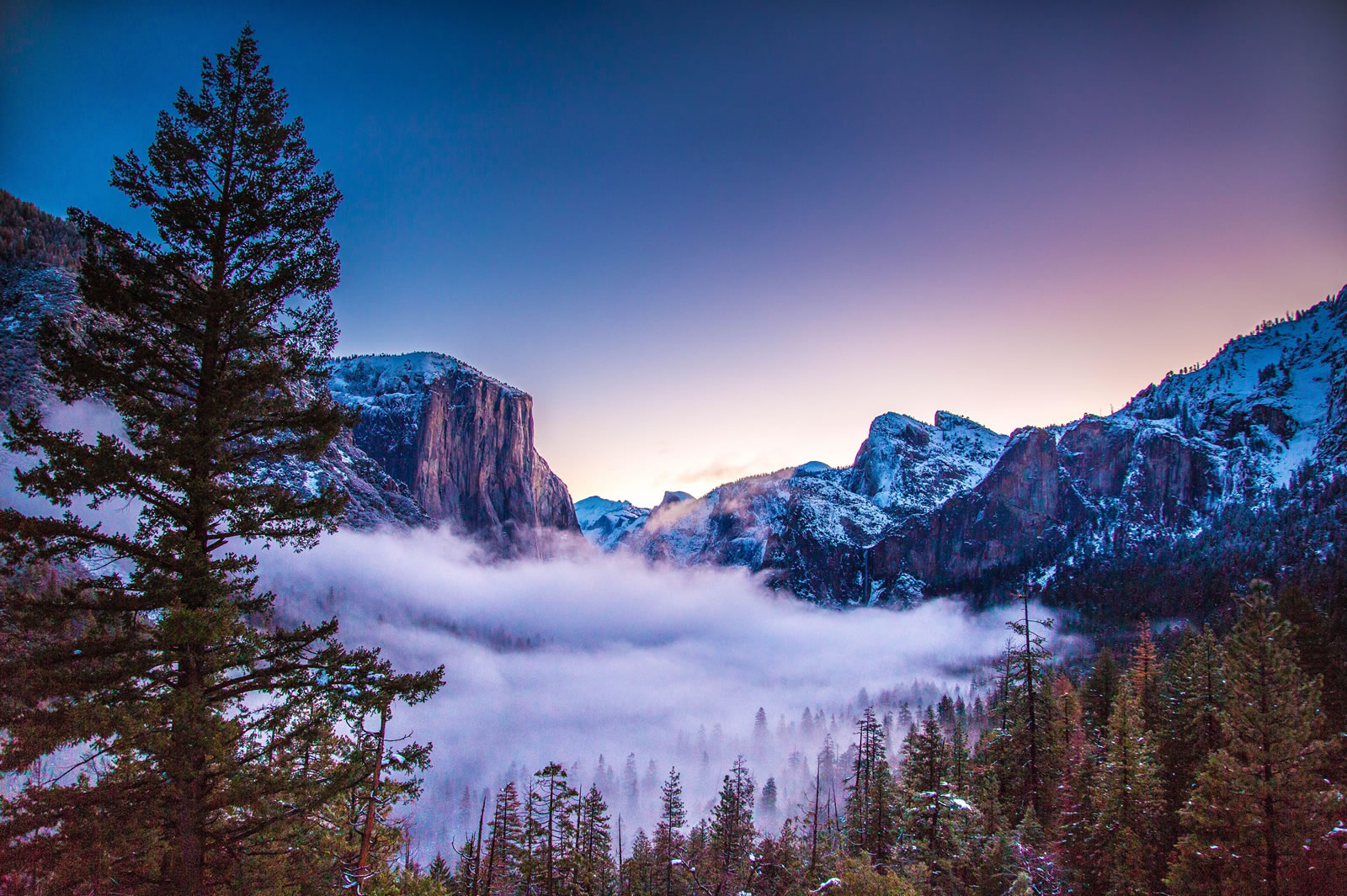 Image for exploring the wonders of yosemite national park