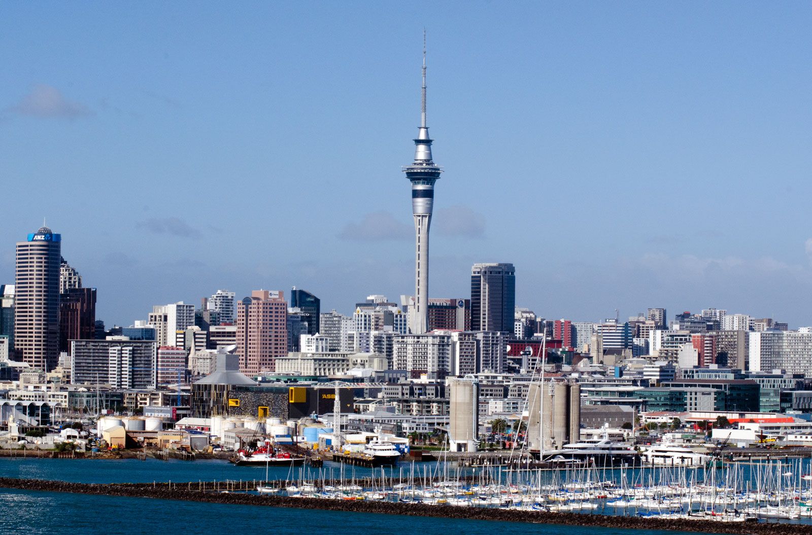 Image for Auckland: A Vibrant Metropolitan City