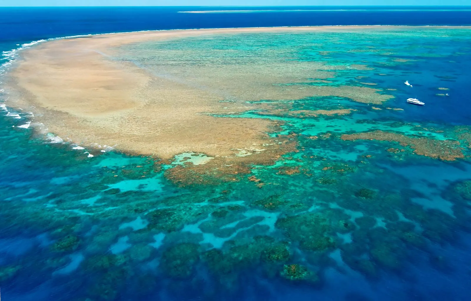 Image for The Great Barrier Reef: A Marine Wonder
