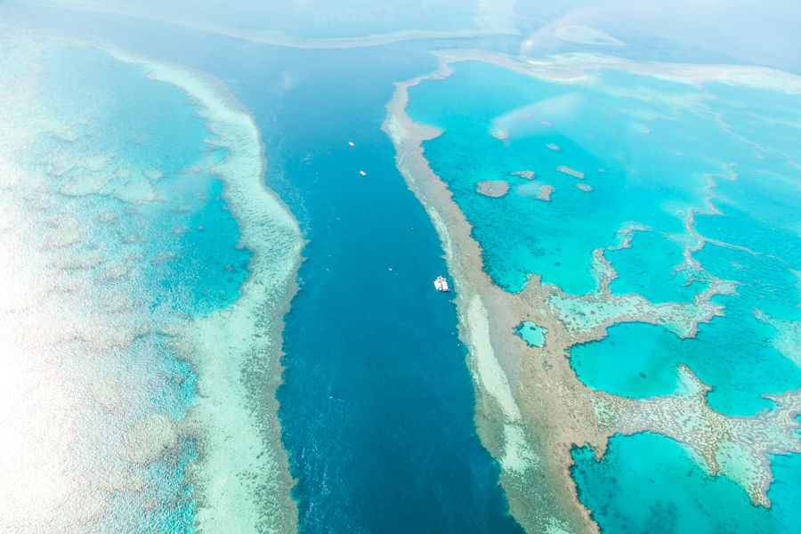 Image for The Great Barrier Reef: A Marine Wonder