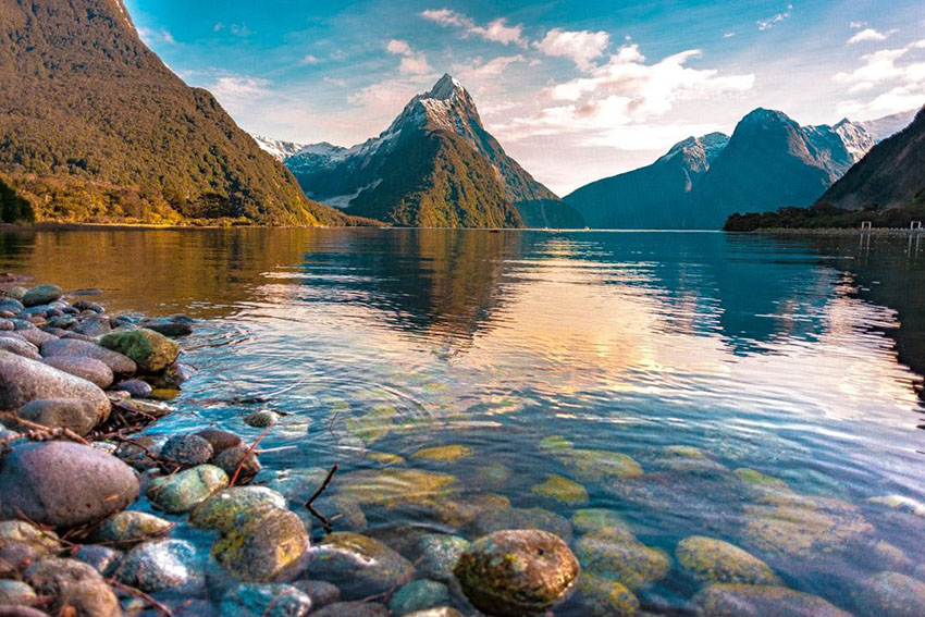 Image for Exploring the Beauty of Milford Sound in New Zealand