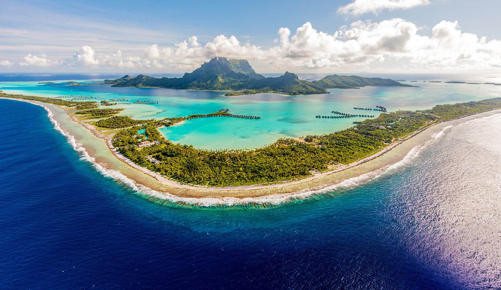 Image for Moorea: The Yellow Lizard Island