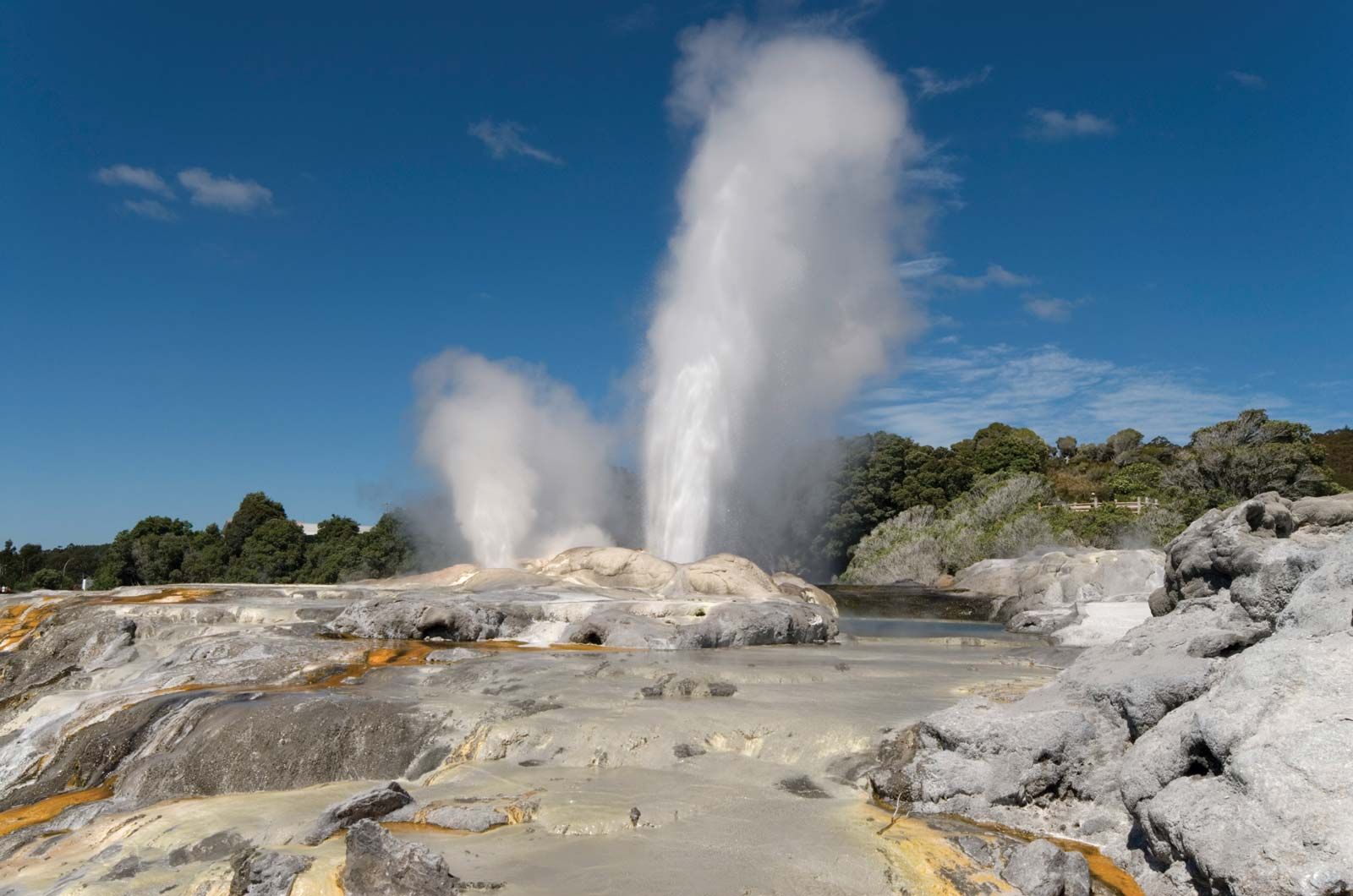 Image for Exploring Rotorua, New Zealand - A Geothermal Wonderland