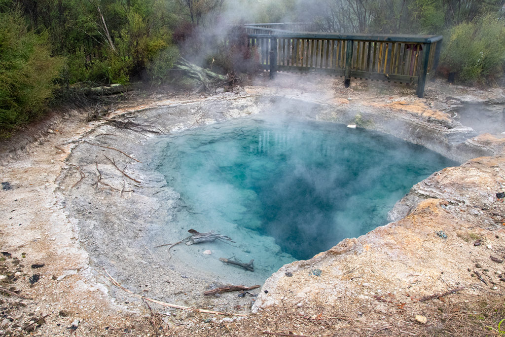 Image for Exploring Rotorua, New Zealand - A Geothermal Wonderland
