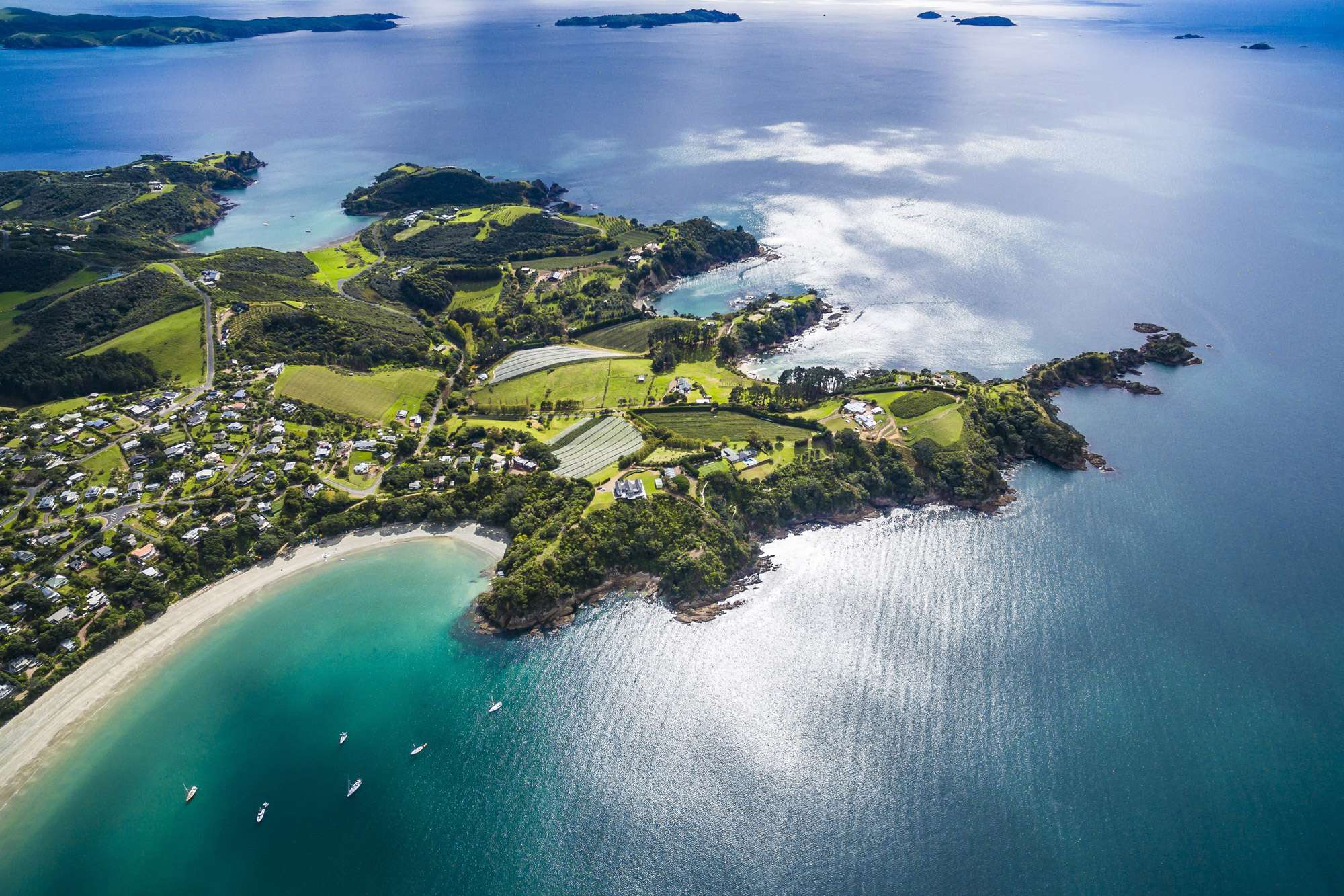 Image for Waiheke Island: A Hidden Gem in New Zealand