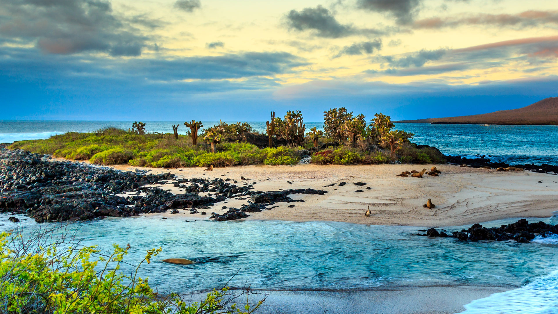 Image for Exploring the Galápagos Islands